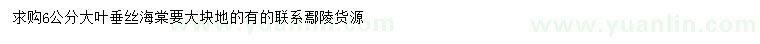 求購6公分大葉垂絲海棠