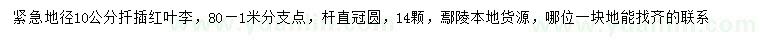 求購地徑10公分扦插紅葉李