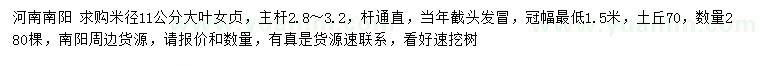 求購米徑11公分大葉女貞