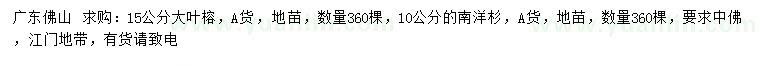 求購15公分大葉榕、10公分南洋杉