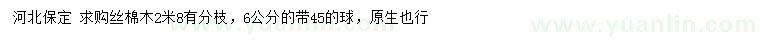 求購6公分絲棉木