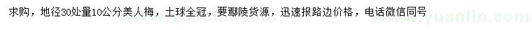 求購地徑30處量10公分美人梅