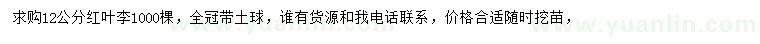 求購12公分紅葉李