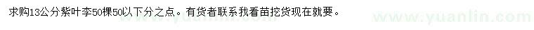 求購13公分紫葉李