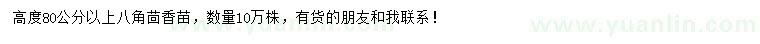求購高80公分以上八角茴香苗