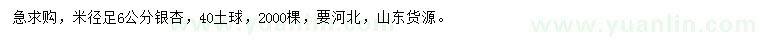 求購米徑足6公分銀杏