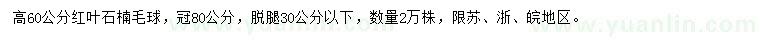 求購高60公分紅葉石楠毛球
