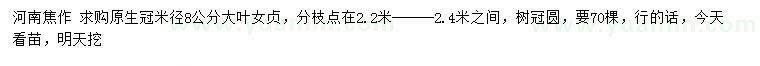 求購米徑8公分大葉女貞