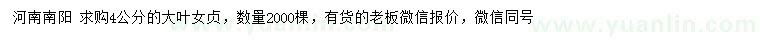 求購4公分大葉女貞