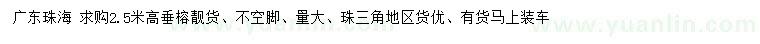求購高2.5米垂榕