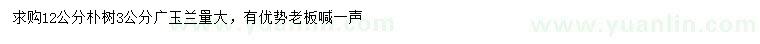 求購12公分樸樹、3公分廣玉蘭