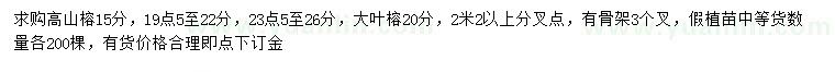 求購15、19.5-22、23.5-26公分高山榕、20公分大葉榕