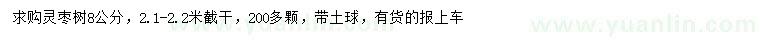 求購8公分靈棗樹