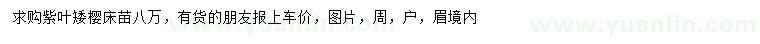 求購紫葉矮櫻