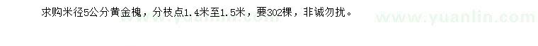 求購米徑5公分黃金槐