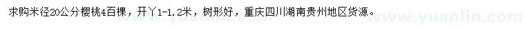 求購米徑20公分櫻桃
