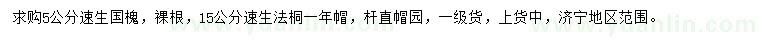 求購5公分速生國槐、15公分速生法桐