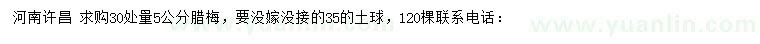 求購30處量5公分臘梅