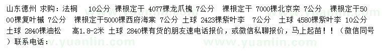 求購法桐、龍爪槐、北京欒等