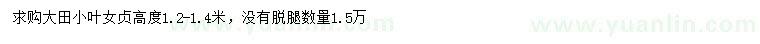 求購高度1.2-1.4米小葉女貞