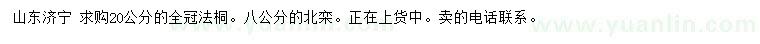 求購20公分法桐、8公分北欒