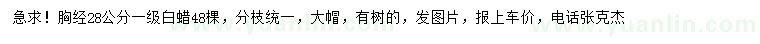 求購胸徑28公分白蠟