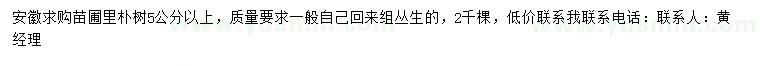 求購(gòu)5公分以上樸樹