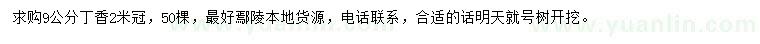 求購9公分丁香