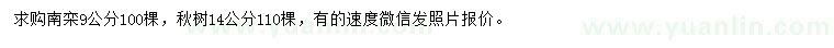 求購9公分南欒、14公分秋樹