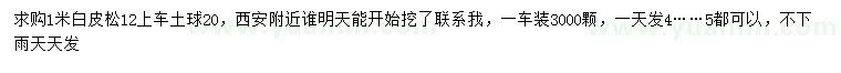 求購1米白皮松