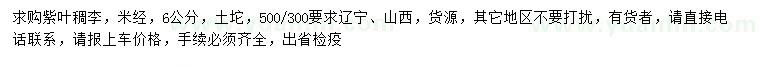 求購(gòu)米徑6公分紫葉稠李