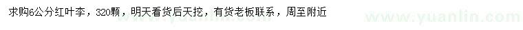 求購6公分紅葉李