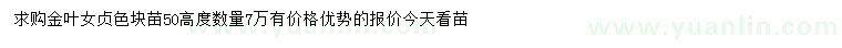 求購(gòu)高度50公分金葉女貞色塊苗