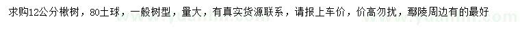 求購(gòu)12公分楸樹(shù)