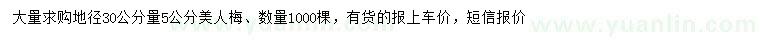 求購地徑30公分量5公分美人梅