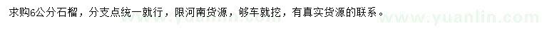 求購6公分石榴