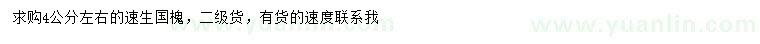 求購4公分左右速生國槐