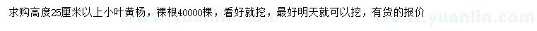 求購高25公分以上小葉黃楊
