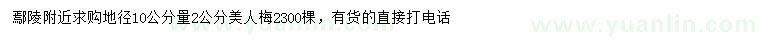 求購地徑10公分量2公分美人梅