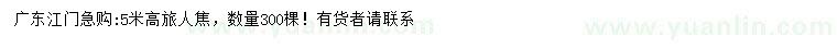 求購高5米旅人焦