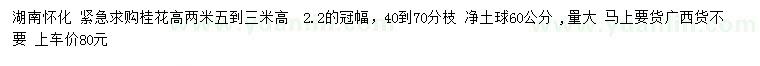 求購(gòu)高2.5-3米桂花
