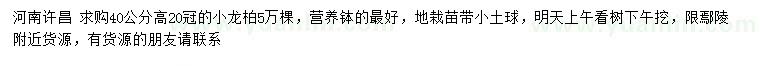 求購(gòu)高40公分小龍柏
