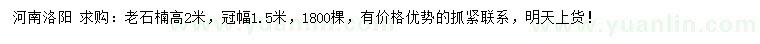 求購高2米老石楠