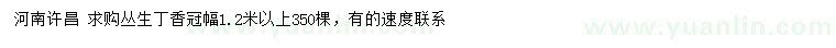 求購冠幅1.2米以上叢生丁香