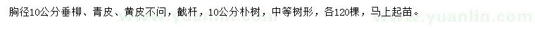 求購(gòu)10公分垂柳、樸樹(shù)