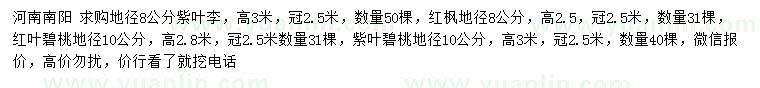 求購紫葉李、紅楓、紅葉碧桃