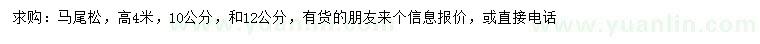 求購10、12公分馬尾松