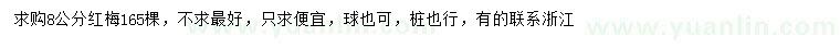 求購8公分紅梅