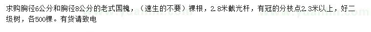 求購胸徑6、8公分老式國槐