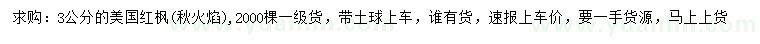 求購3公分美國紅楓（秋火焰）